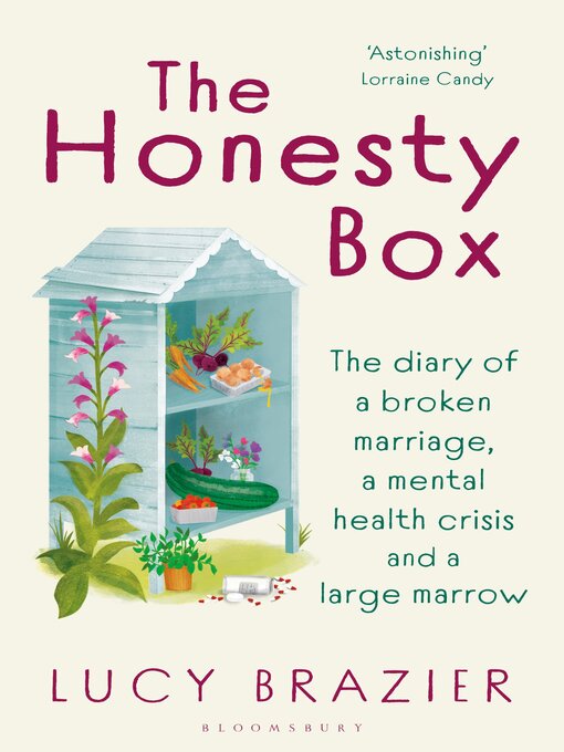 Title details for The Honesty Box by Lucy Brazier - Wait list